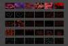 il_794xN.2172279868_7tyz.jpg