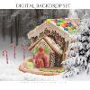 Ashe-Design-Digital-Backdrop-Gingerbread-House-Before-grande.jpg