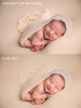 LP1A2528-BA-1.jpg