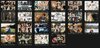 Moody Vintage Inspired Presets.jpg