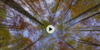 upload_2024-2-16_21-22-28.png