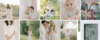 upload_2024-4-2_18-38-48.png