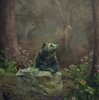 Bear In The Woods.JPG