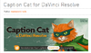 upload_2025-3-5_21-14-46.png